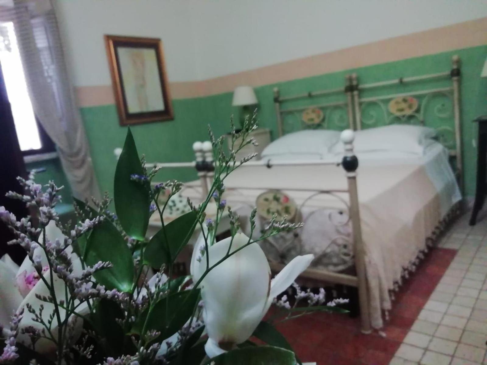 살베 Anticadimora Dei Pepe B&B 외부 사진