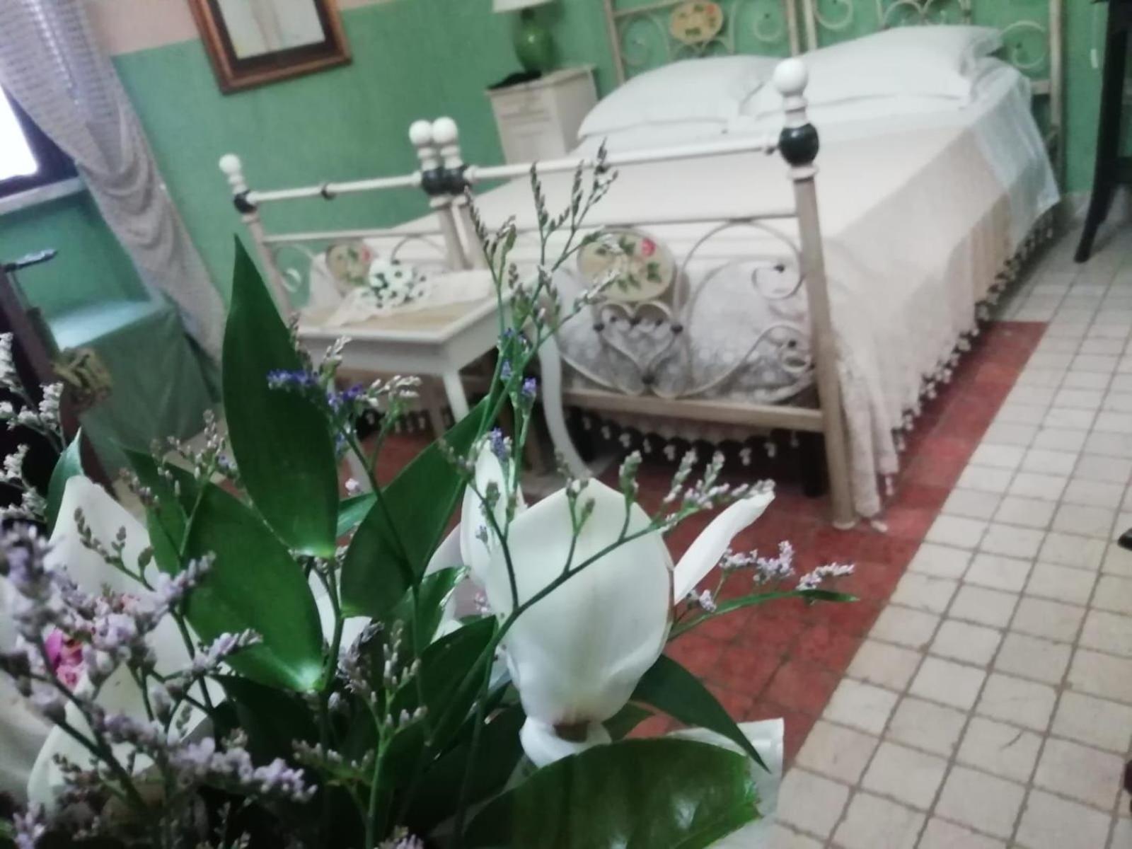 살베 Anticadimora Dei Pepe B&B 외부 사진